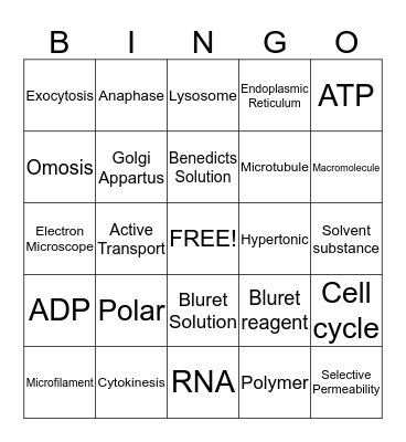 Bingo Science- Biology Bingo Card