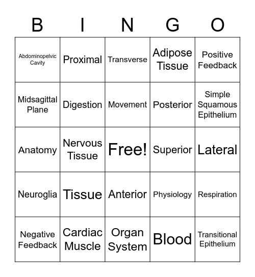 Physiology Review Bingo Card