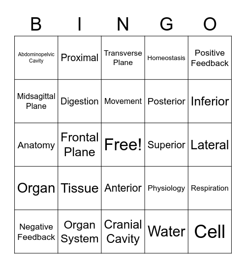 General Physiology Review Bingo Card