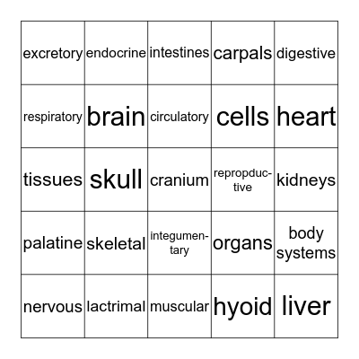 ANATOMY & PHYSIOLOGY Bingo Card