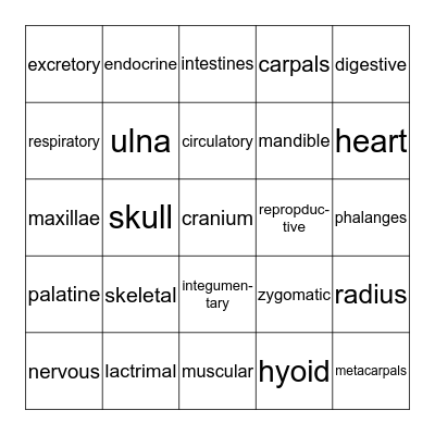 ANATOMY & PHYSIOLOGY Bingo Card
