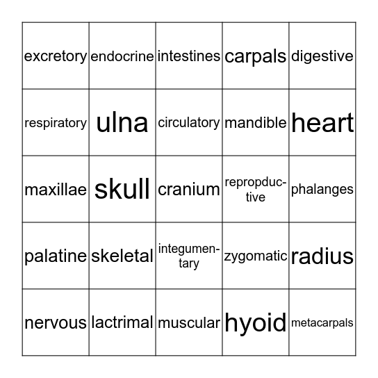 ANATOMY & PHYSIOLOGY Bingo Card