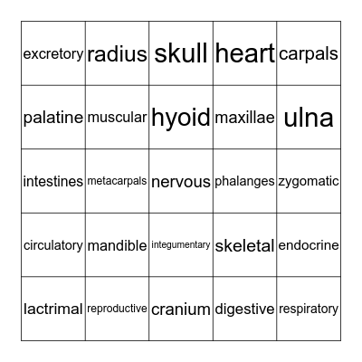 ANATOMY & PHYSIOLOGY Bingo Card