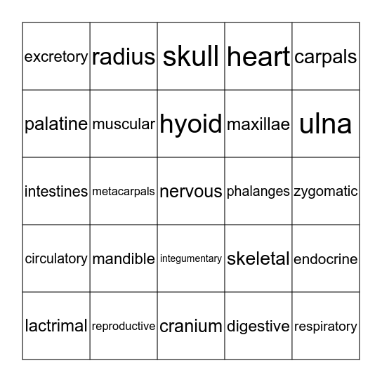 ANATOMY & PHYSIOLOGY Bingo Card