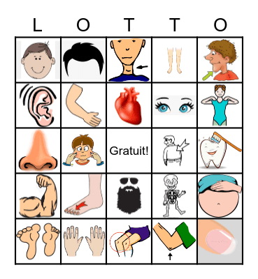 les parties du corps Bingo Card