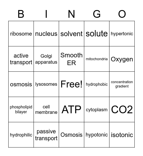 osmosis/ organelles Bingo Card