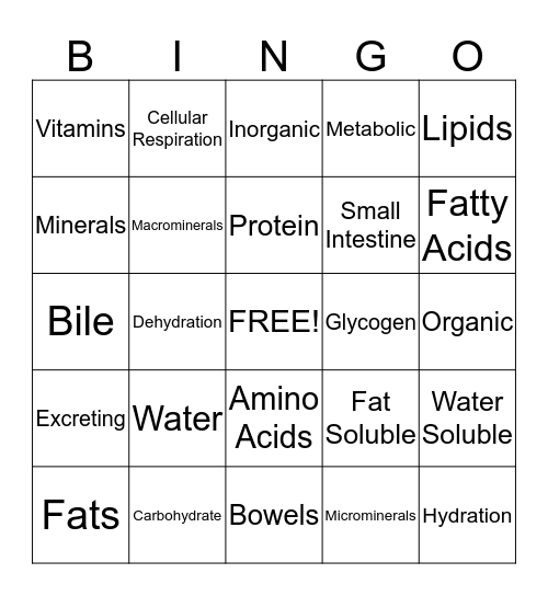 Fates of Fats, Carbohydrates, and Proteins Bingo Card