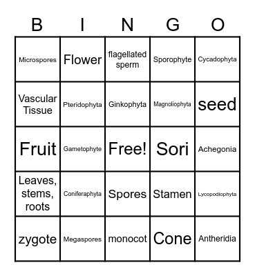 Plant Diversity Bingo Card