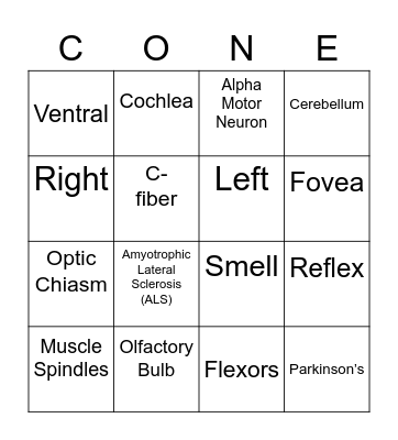 Chapter 2 & 3: Brain Bingo Card