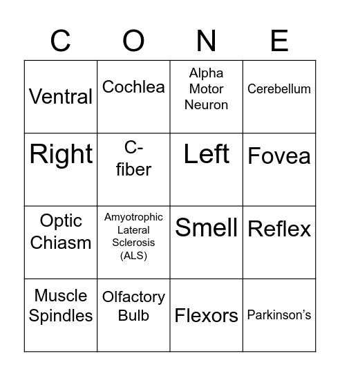 Chapter 2 & 3: Brain Bingo Card