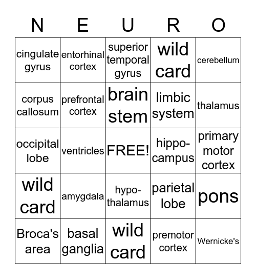 Neuroanatomy Bingo Card