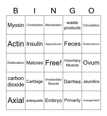 Body System Bingo Card