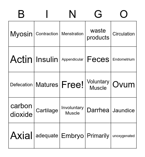 Body System Bingo Card