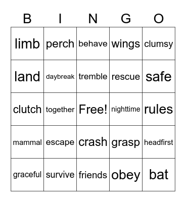 Unit 1 Stellaluna Bingo Card