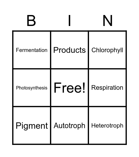 Cell Processes bingo Card