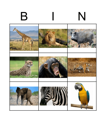 Wild Animals Bingo Card