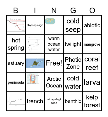 Oceanography Bingo Card