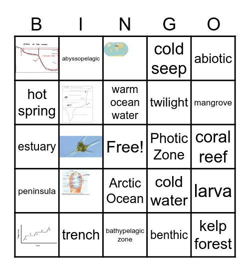 Oceanography Bingo Card