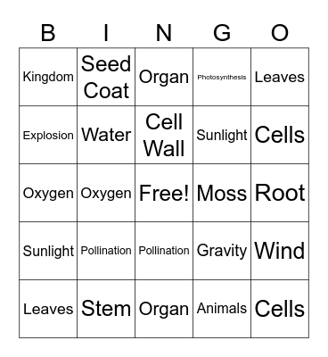 Unit 1 Science Review Bingo Card