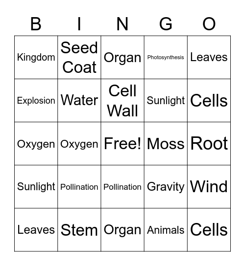 Unit 1 Science Review Bingo Card