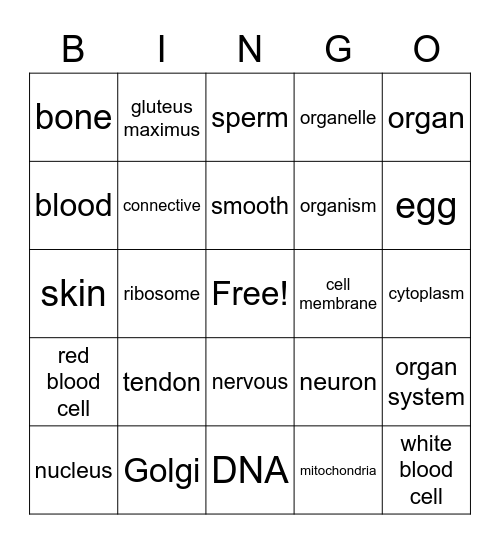 Cells & Tissues Bingo Card