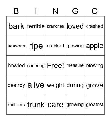 Story 4 Vocabulary Bingo Card