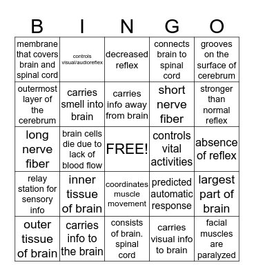 NERVOUS SYSTEM Bingo Card