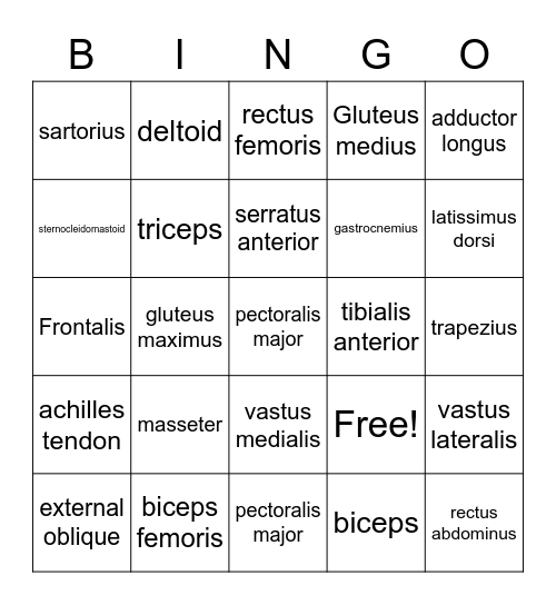 Muscles Bingo Card