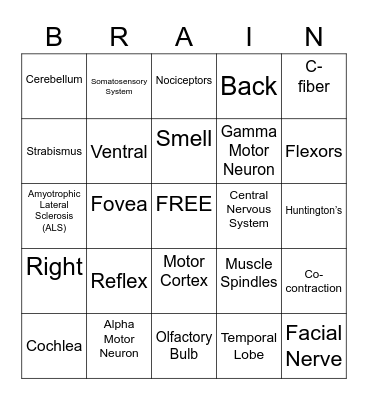 Chapter 2 & 3: Brain Bingo Card