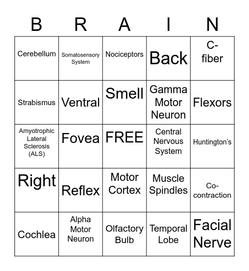 Chapter 2 & 3: Brain Bingo Card
