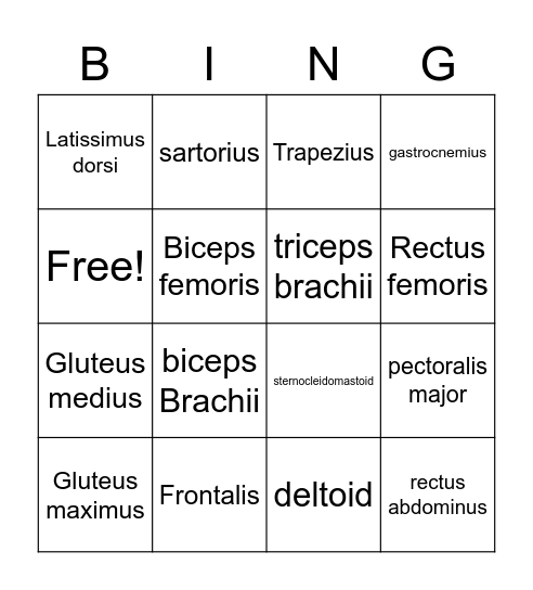 Muscles Bingo Card