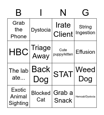 Veterinary Bingo Card