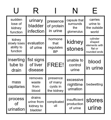 urinary system Bingo Card