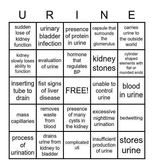 urinary system Bingo Card