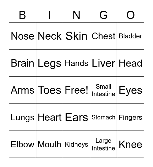 Common Body Parts/Organs Bingo Card