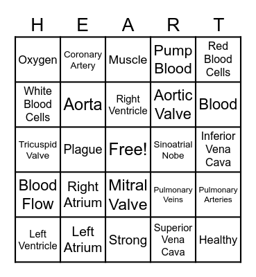 The Circulatory Story Bingo Card