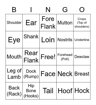 Sheep Anatomy Bingo Card