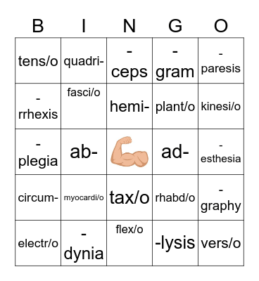 Muscular System Bingo Card