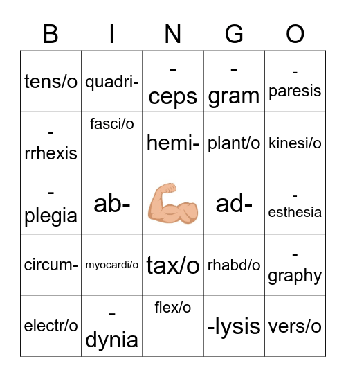 Muscular System Bingo Card