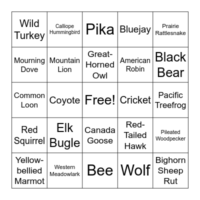Bingo Card