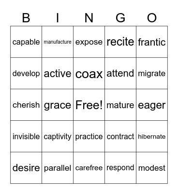 Vocabulary Bingo Card