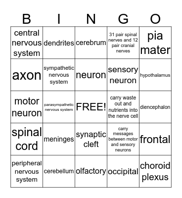 Nervous System Bingo Card