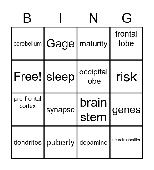 Adolescent Cognitive Development Bingo Card