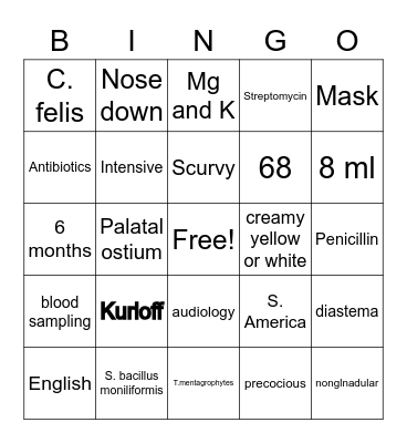 Guinea Pig Bingo Card