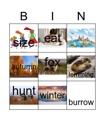 Arctic fox bingo Card