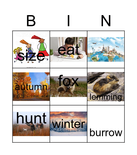 Arctic fox bingo Card