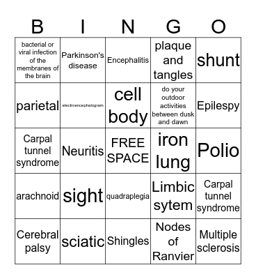 Nervous System Bingo Card