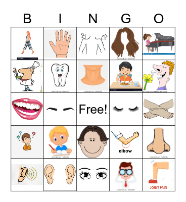 Body parts and verbs Bingo Card