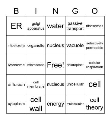 Cell System Review Bingo Card