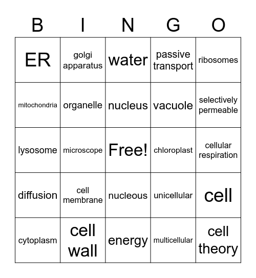 Cell System Review Bingo Card